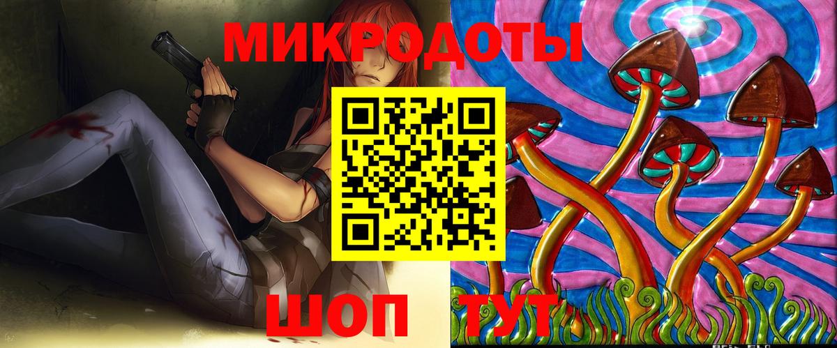 Галлюциногенные грибы Psilocybe Тара