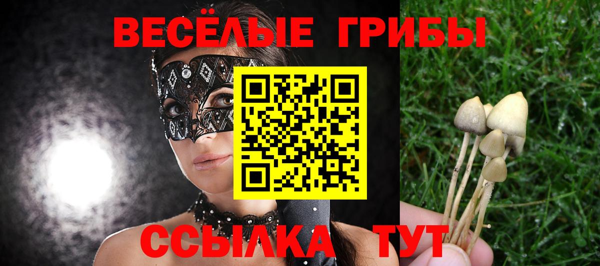 Тара  Псилоцибиновые грибы GOLDEN TEACHER  Вход с VPN 